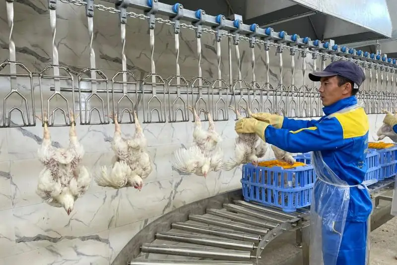 Крупную птицефабрику открыли в Мангистауской области