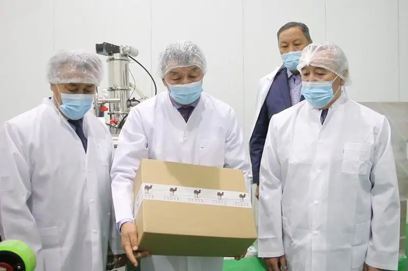 Завод по переработке верблюжьего молока запущен в Алматинской области