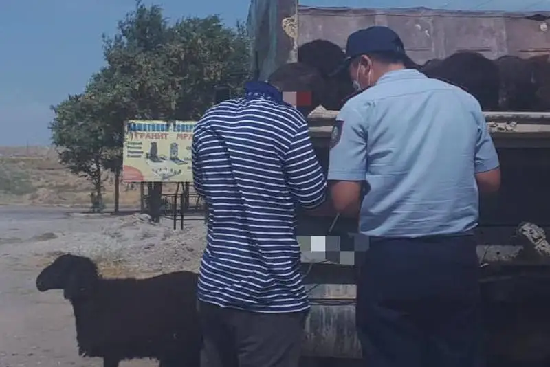 Рейды по соблюдению ограничений в Курбан айт проходят в Шымкенте