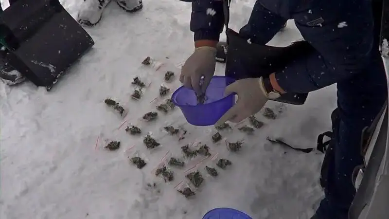 ShQO turǵynynyń kóliginen esirtki men tapansha tabyldy