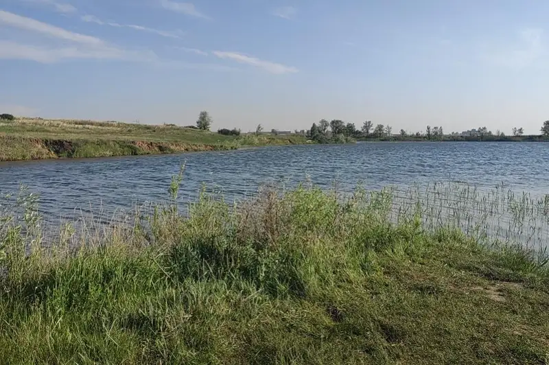 Qaraǵandyda jasóspirim sýǵa batyp ketti