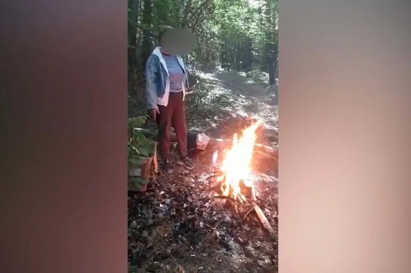 Лесной пожар в Риддере предотвратили полицейские