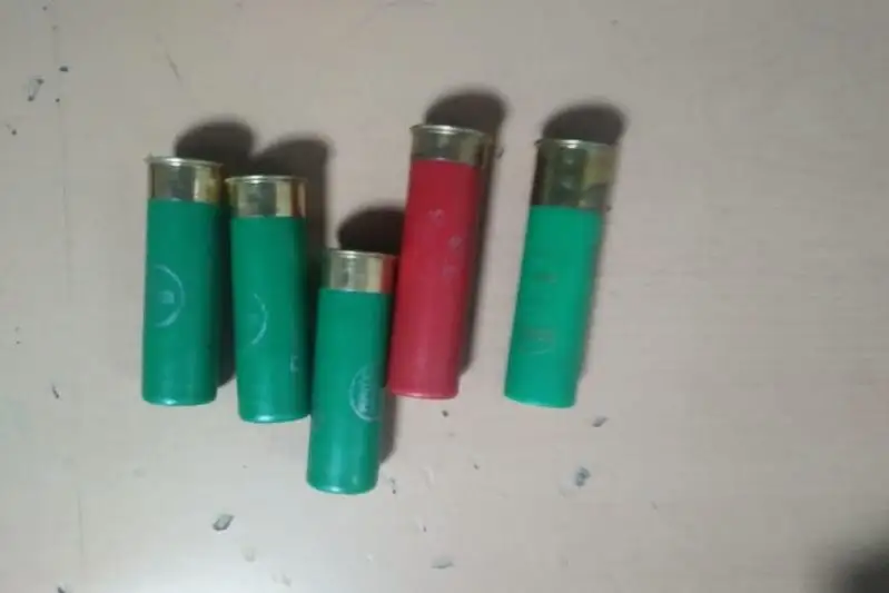 В Павлодарской области у сельчан изъяли незаконно хранившиеся оружие и боеприпасы