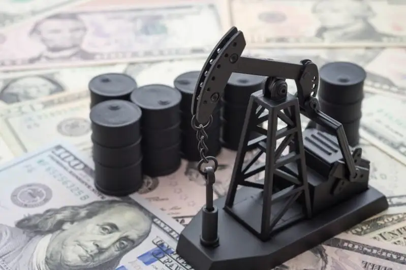 Сумма бонуса по аукциону на разведку и добычу превысила 9 млрд тенге – Минэнерго