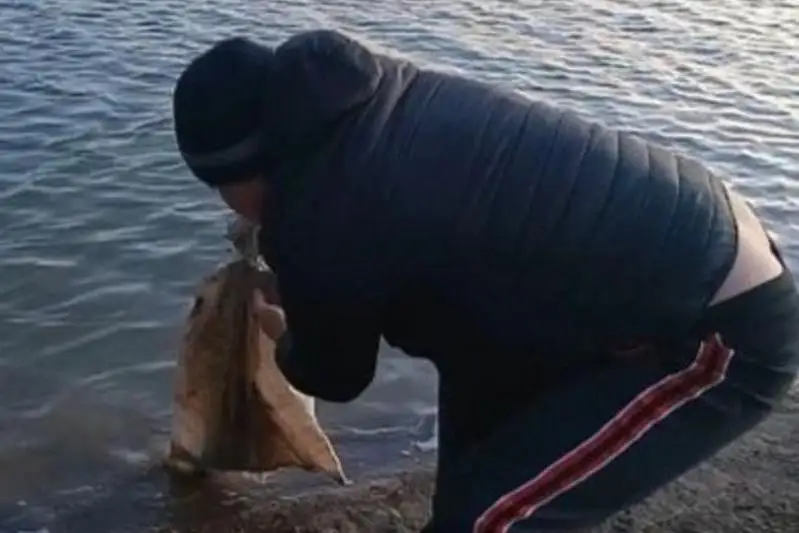 Утопить щенка в мешке пытались дети в Атырау