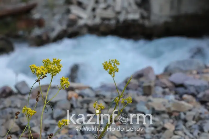 Площадь особо охраняемых природных территорий планируют увеличить в Казахстане