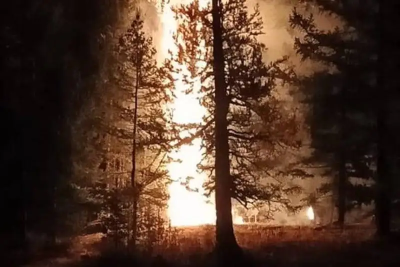 Загоревшийся из-за грозы лес третьи сутки тушат в ВКО