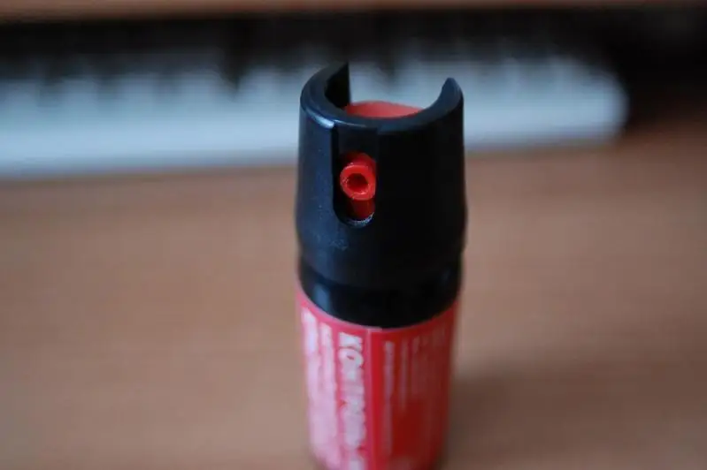 Перцовый баллончик распылили в одной из школ Шымкента