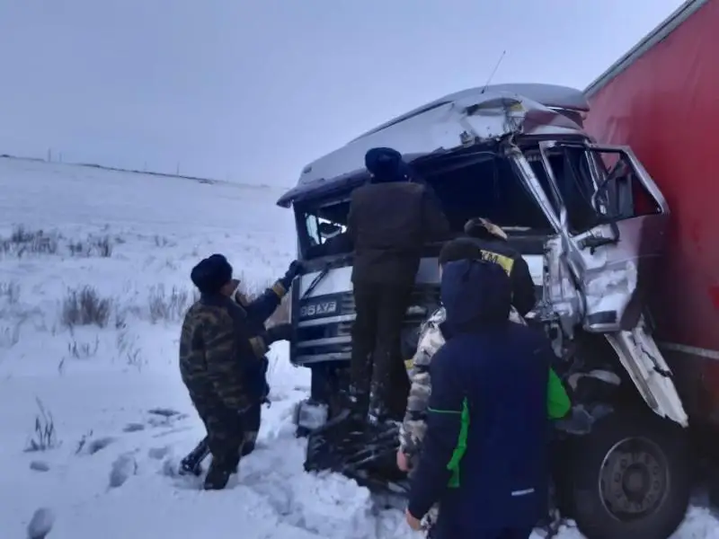 Пострадавшего в ДТП спасли в Акмолинской области