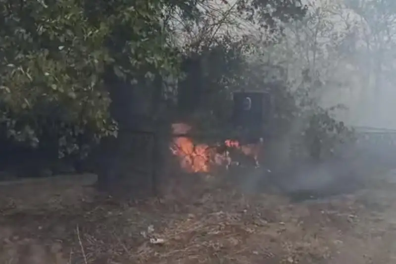 Пожар на Бурундайском кладбище сняли на видео в Алматы