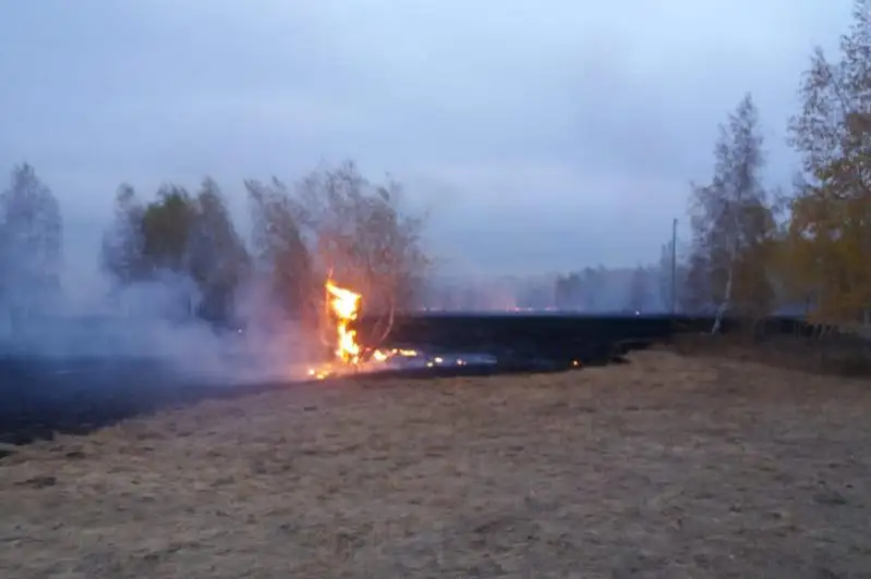 Пожар на 200 гектарах степи и леса тушили костанайские огнеборцы