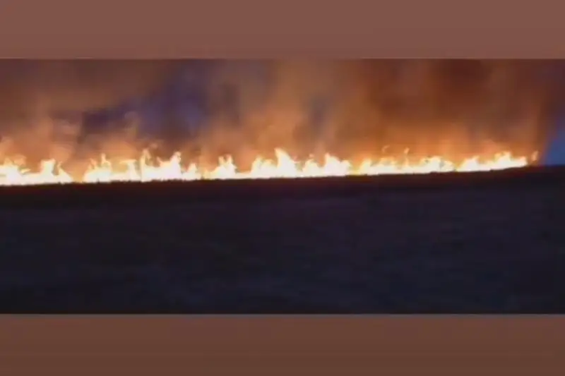 Пожар на 140 квадратных метрах тушили на острове в Павлодарской области