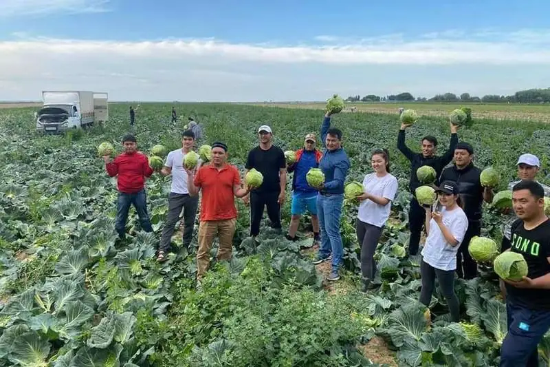 Итоги вегетационного периода подвели в Министерстве экологии
