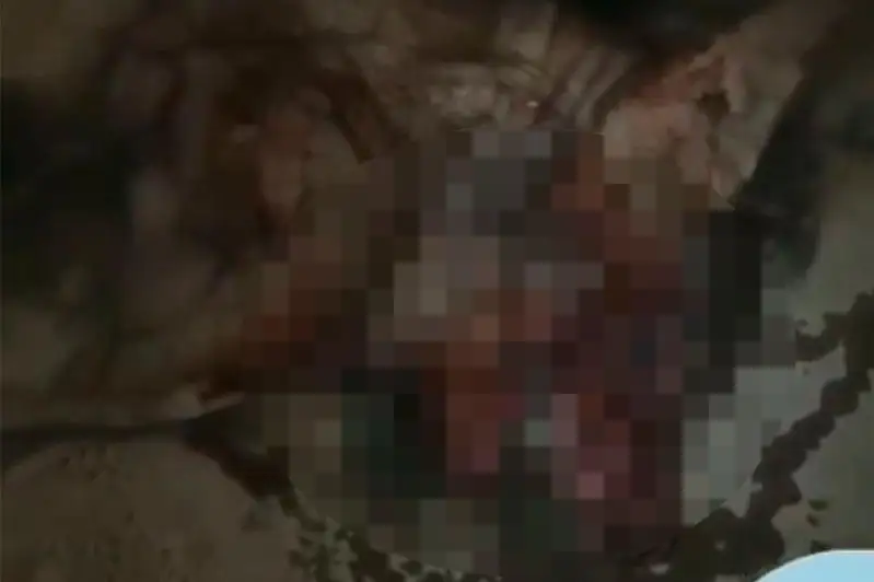 В жамбылской полиции опровергли новость об «оборотне» на Кордайском перевале