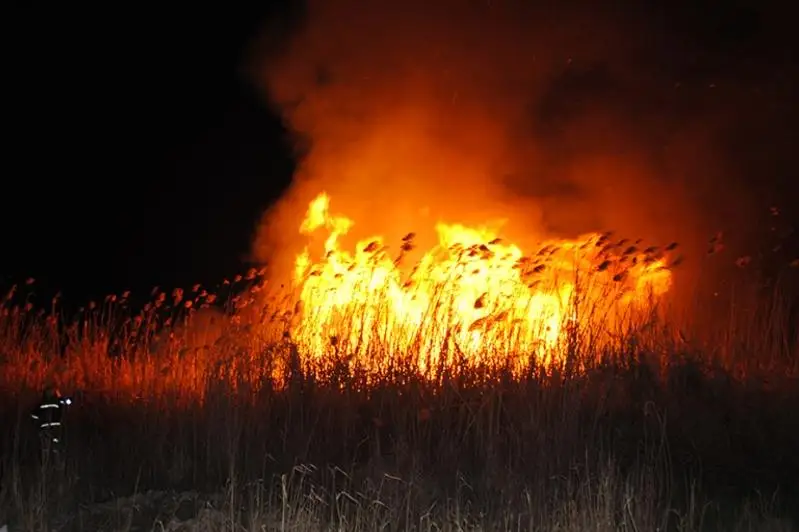 Ночной пожар близ домов сельчан тушили в Павлодарской области