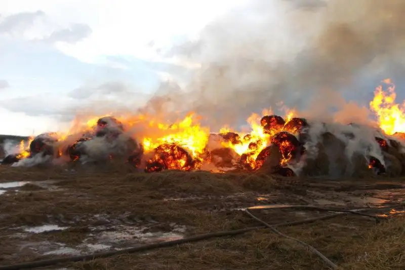 600 тонн сена горело в крестьянском хозяйстве в ВКО