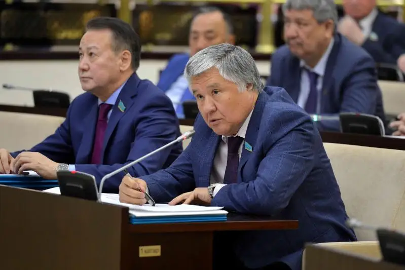 Как можно увеличить доходы страны, рассказал сенатор Даурен Адильбеков