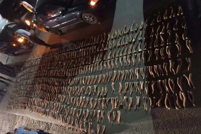 Более тысячи рогов сайги изъяли полицейские ЗКО