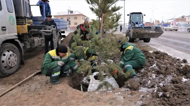 Более миллиона зеленых насаждений будет высажено до конца года в Нур-Султане
