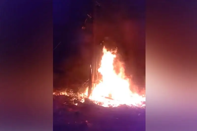 Причину пожара на линии электропередачи назвали в Караганде