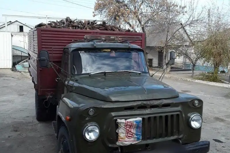 Факт незаконной перевозки дров пресекли полицейские в Туркестанской области