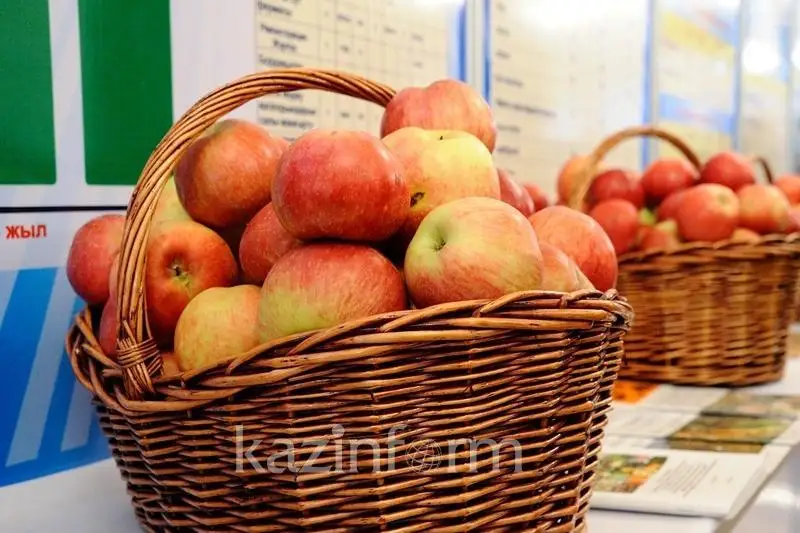 Туркестанские полицейские задержали подозреваемых в краже 1,5 тонны яблок