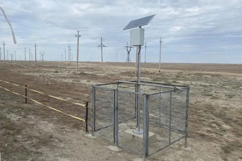 Электротоком будут отпугивать животных от трасс в Атырау