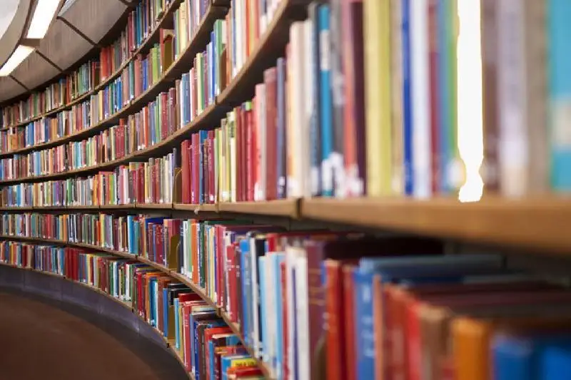 Какая работа проводится по развитию фонда школьных библиотек