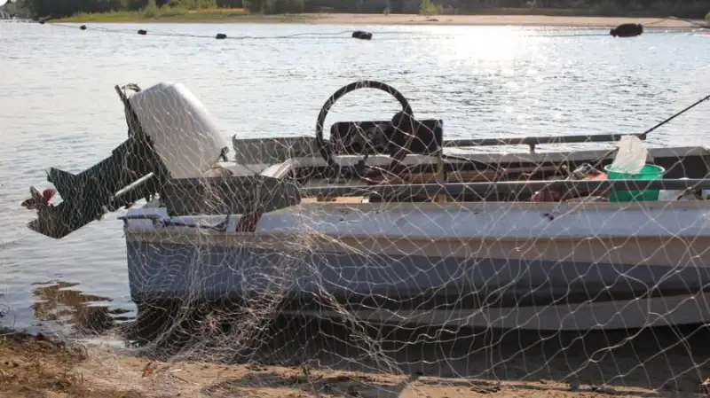 350 кг рыбы изъяли у браконьеров в Туркестанской области