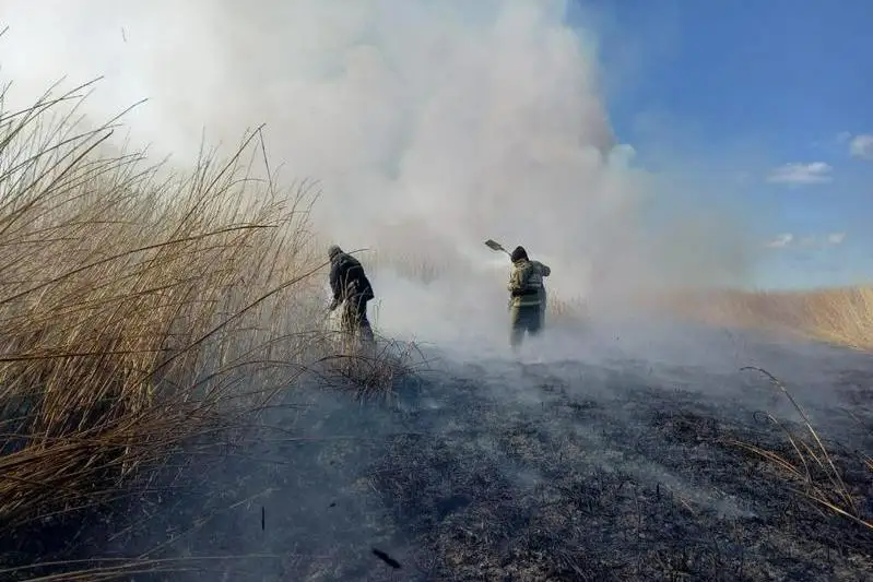 Пожар на побережье Каспия  ликвидировали в Атырауской области