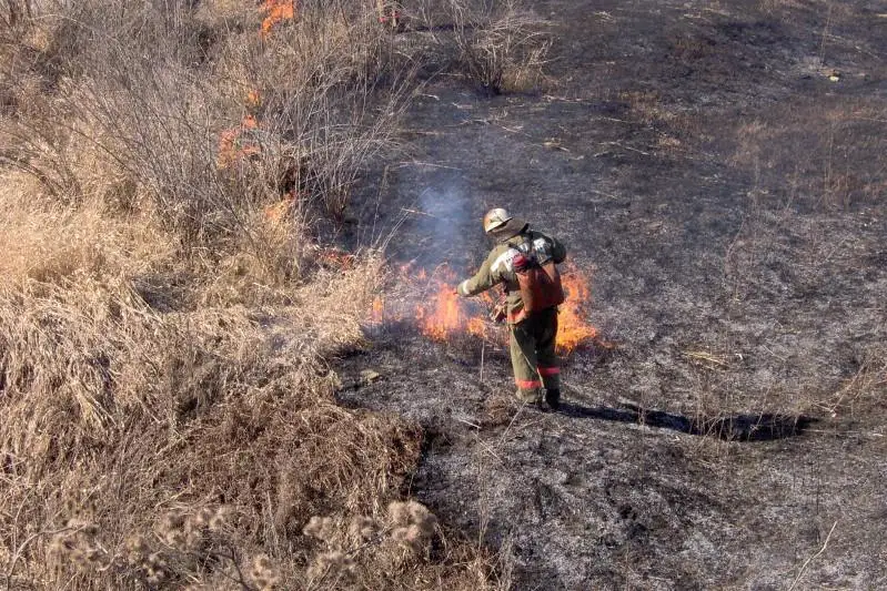 В столице увеличилось число возгораний сухой травы
