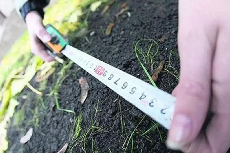 На более 8 млн тенге оштрафовали алматинцев за самовольный захват земель