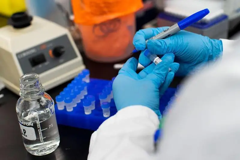 Антитела выявлены у более чем 95% привитых вакциной QazVac - Кунсулу Закарья