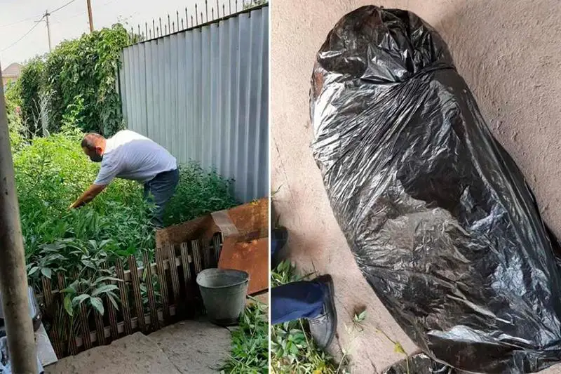 Almatyda nemeresimen birge esirtki ósirgen zeınetker ustaldy