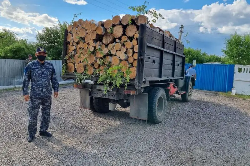 600 нарушений природоохранного законодательства выявлено в СКО