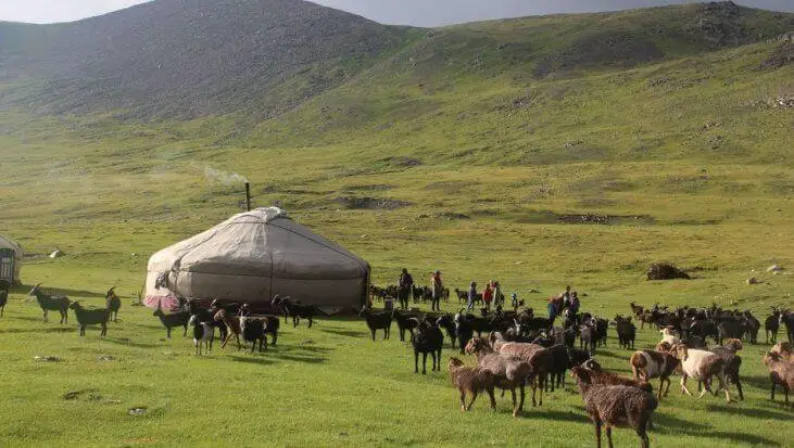 ءسابي كوزىممەن