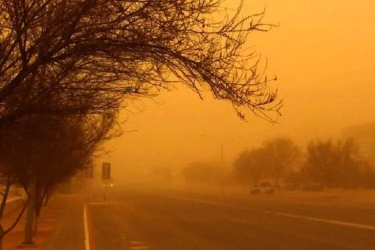 Дороги закрывают в Жамбылской области