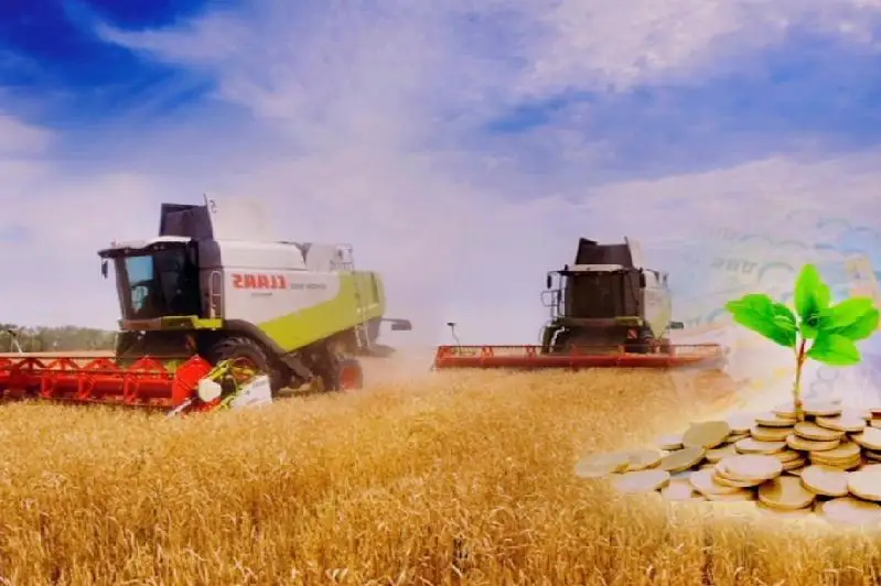 Льготное кредитование фермеров увеличат в Казахстане