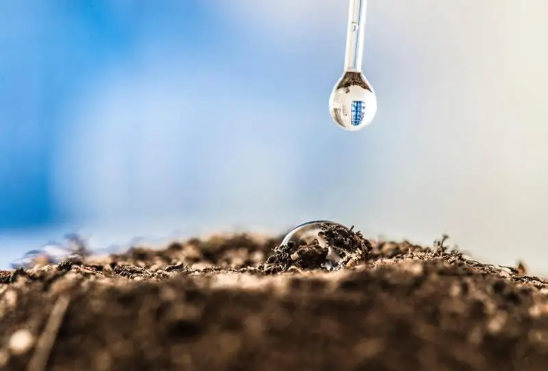 Низкие запасы влаги в почве наблюдаются на большей части территории Казахстана