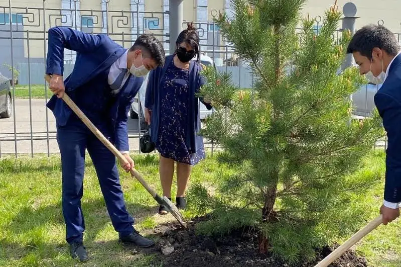 «Семейное дерево» посадили школьники СКО