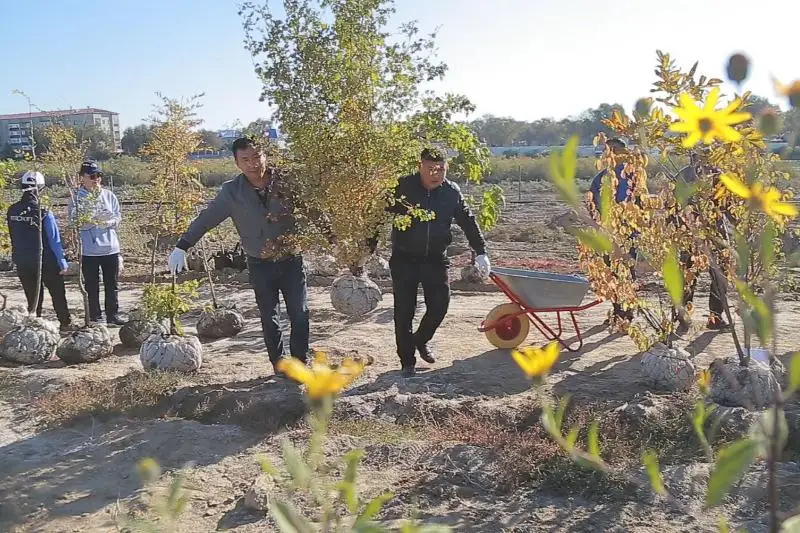 В Атырау ко Дню города разбили новый парк