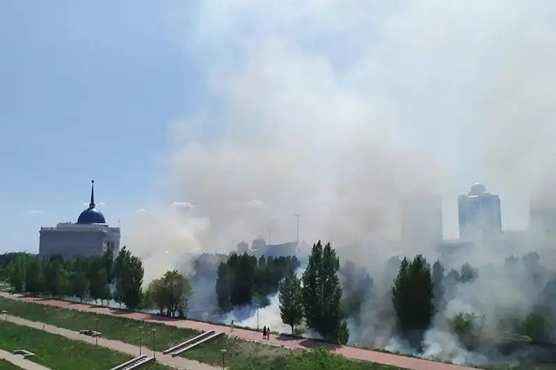 53 возгорания тополиного пуха потушили за сутки в столице