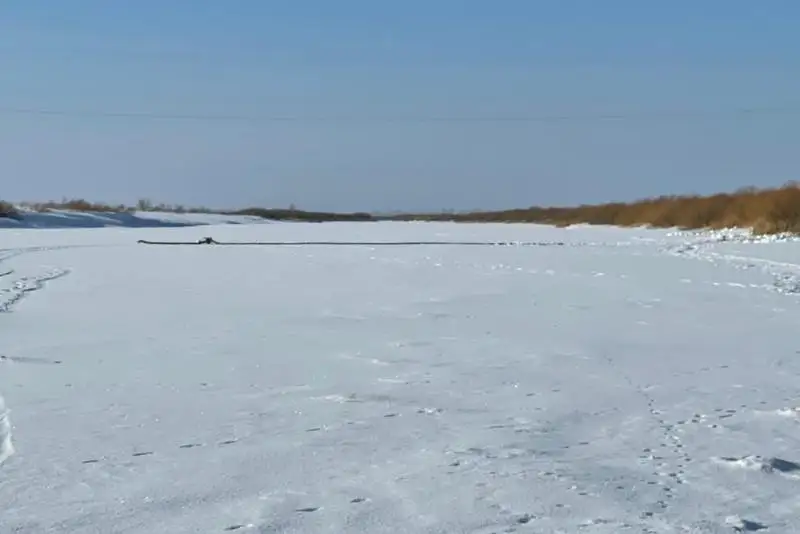 85 кг мертвой рыбы собрали на реке Есиль в Акмолинской области