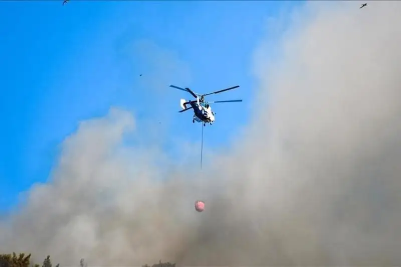 Пострадавшие от пожаров регионы Турции объявлены зонами бедствия