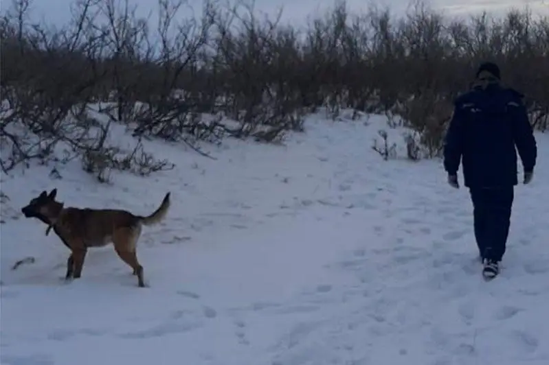 В Атырауской области продолжаются поиски пропавшего 65-летнего мужчины
