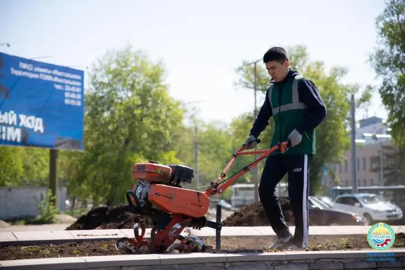 Павлодар украсят голландские и французские розы