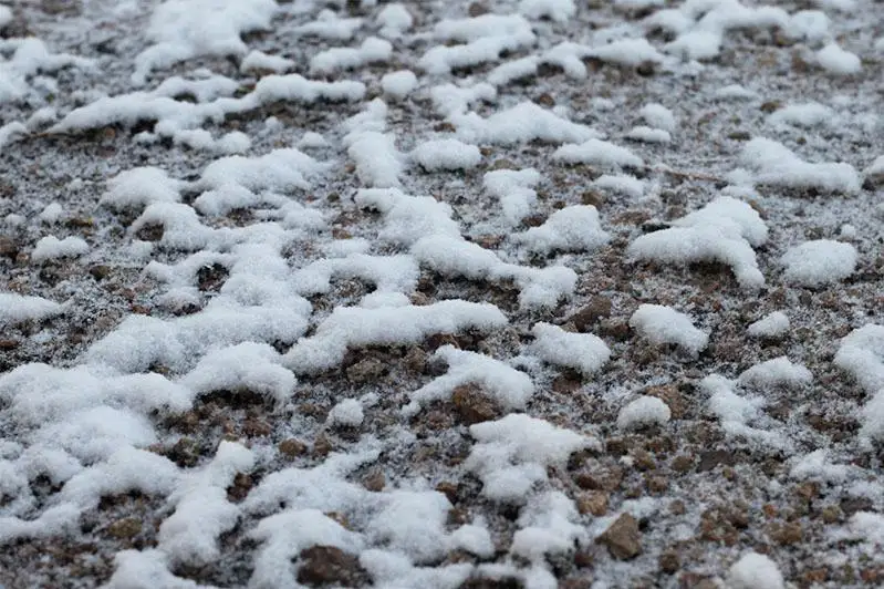 В СКО стремительно промерзает почва