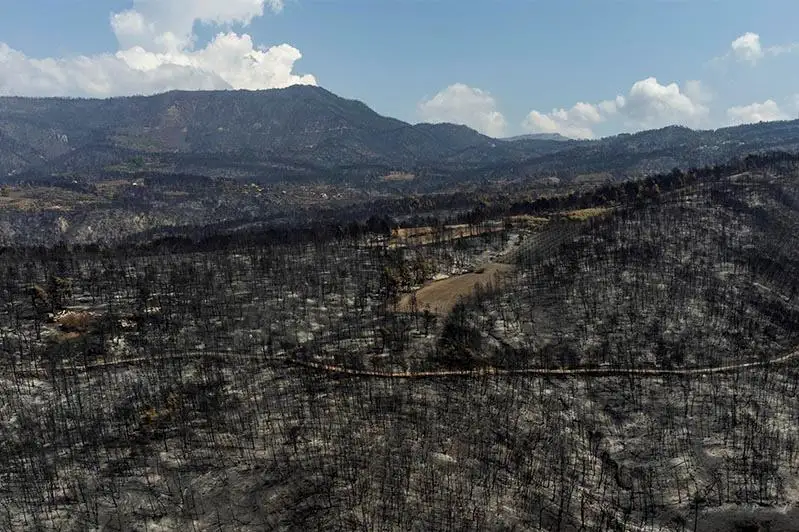 Беспрецедентные пожары в Греции сравняли с землей тысячи гектаров леса