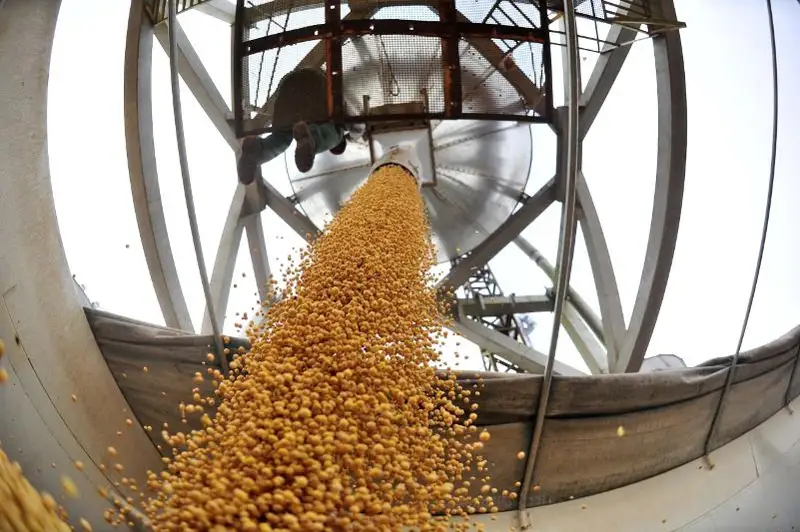 Увеличить экспорт сельхозпродукции в четыре раза намерены в  ВКО