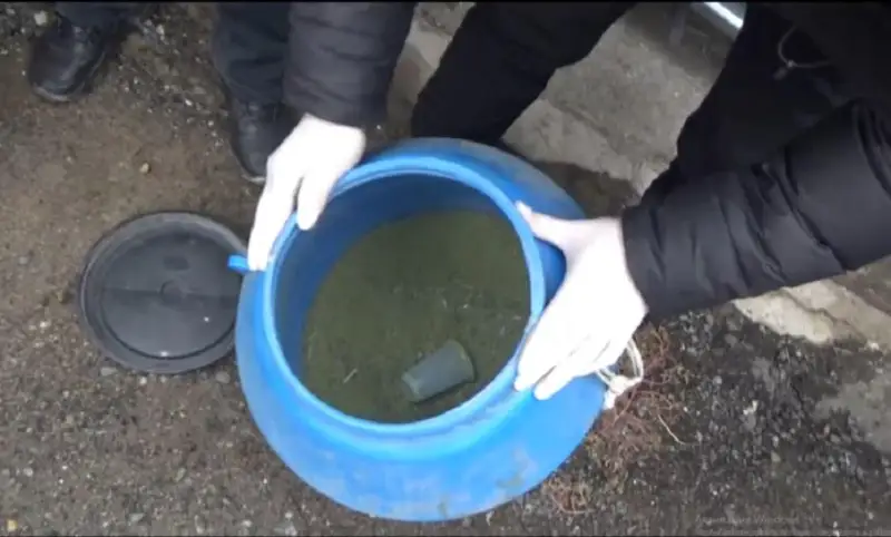 Крупную партию наркотиков изъяли в Семее